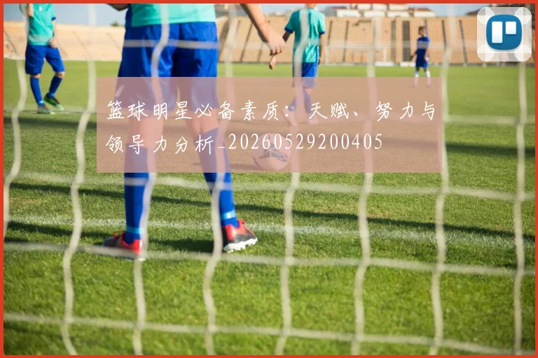 篮球明星必备素质：天赋、努力与领导力分析_20260529200405